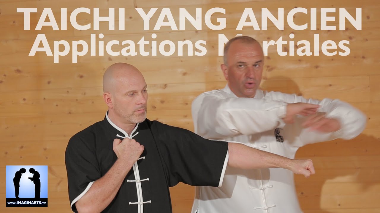 Taichi Yang ancien - les 2 poissons forment un 8