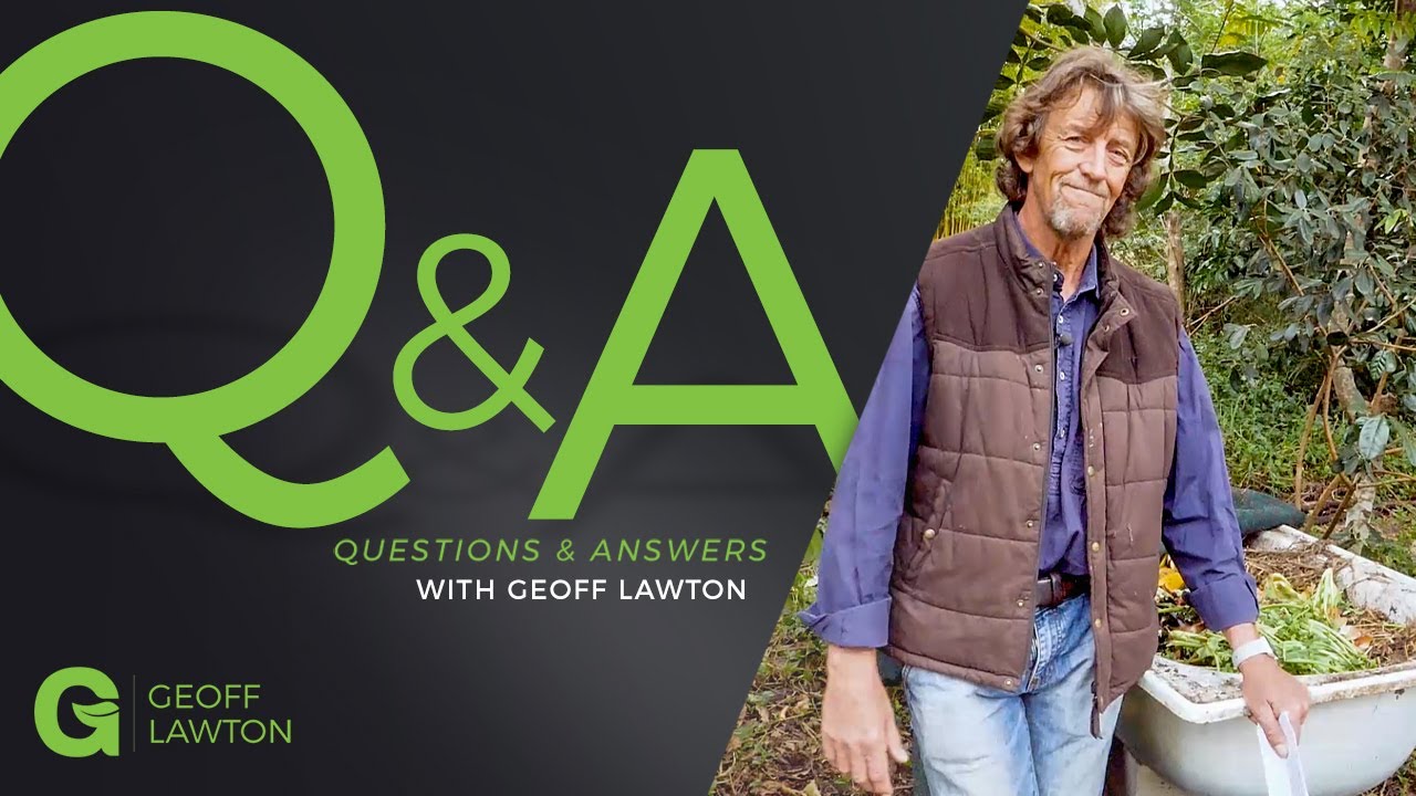 Существует ли безопасный способ вермикомпостирования человеческих отходов?