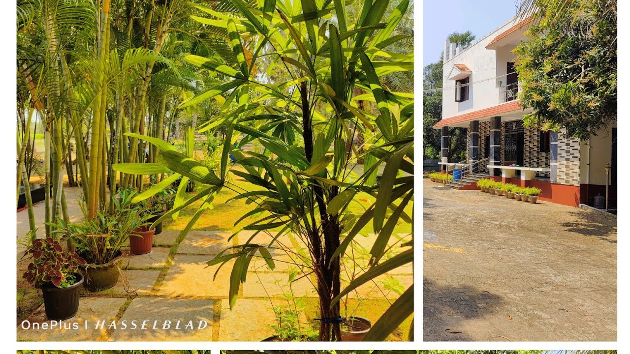 No: 228 புதிய அழகான வீடு & பண்ணைகளுடன் கூடிய இடம் விற்பனை ஈசிஆர் இடைக்கழி நாடு || Contact-9626716274