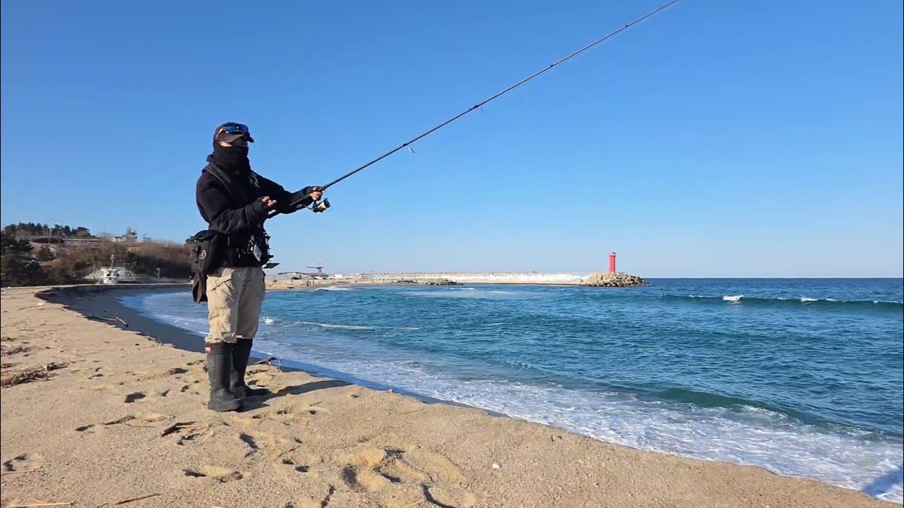 서프에도 봄이 오기를~ 생명체를 찾아서!