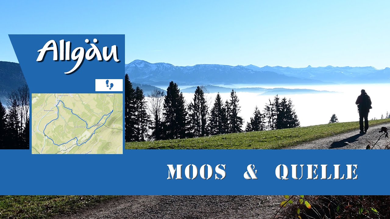 Wanderung : Moos & Quelle : Allgäu
