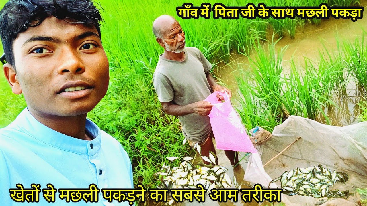 Gaon Mein Pitaji Ke Sath Machhali Pakda || Khet Mein Machhali pakdane ka sabse Aasan tarika