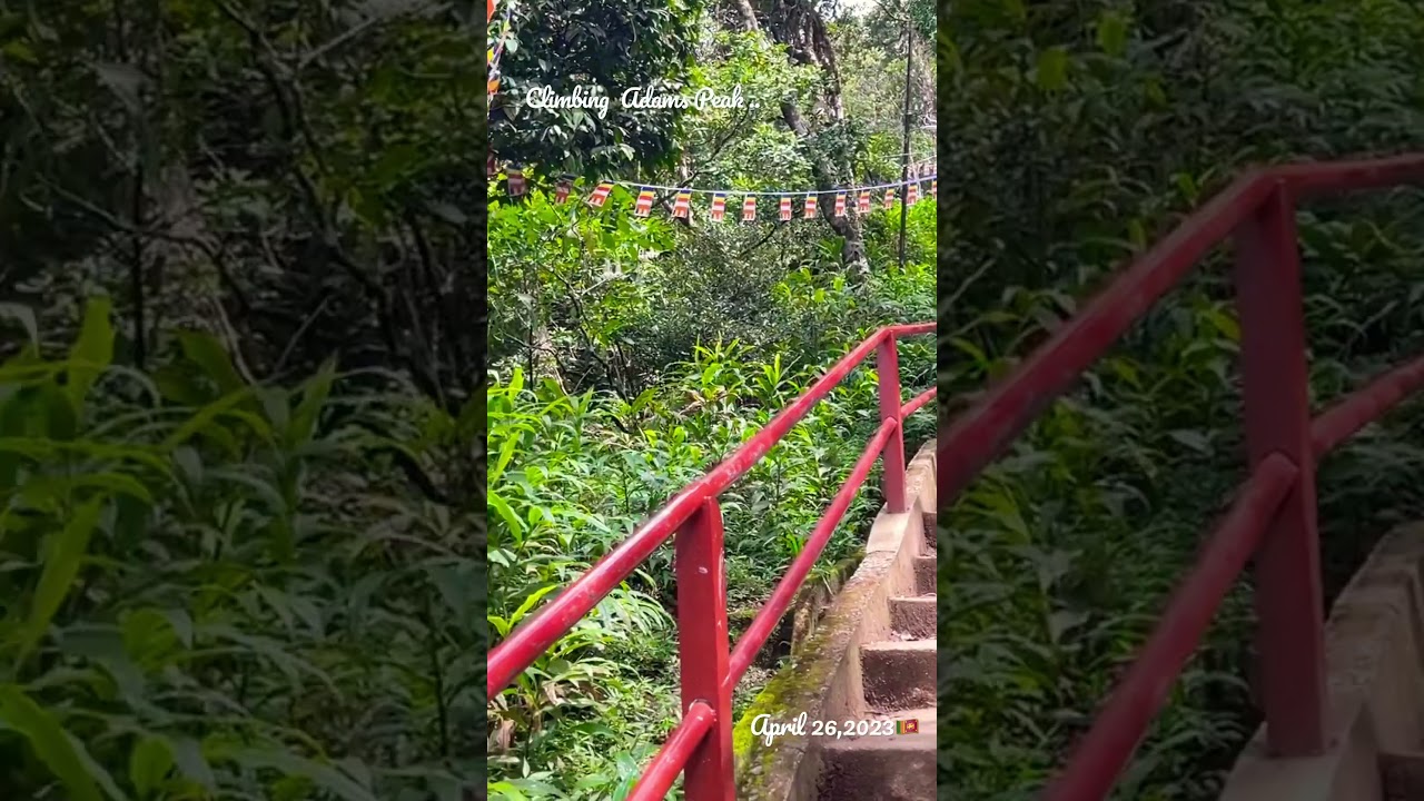Climbing Adams Peak 