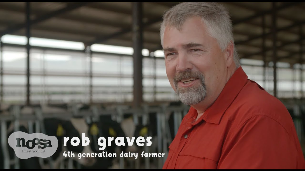 noosa yoghurt | Happy Cows