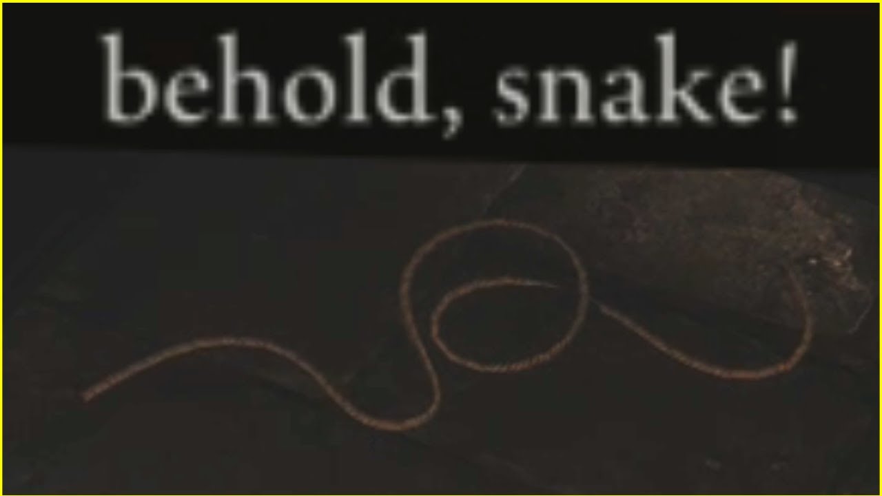 BEHOLD, SNAKE! | Elden Ring DLC (Shadow of the Erdtree) - Part 4