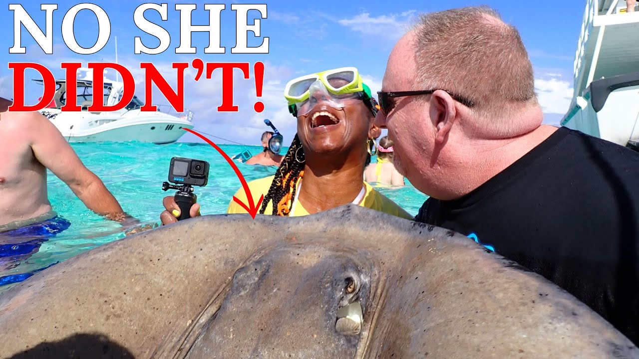INTERACTING with STINGRAYS in the Cayman Islands  4K