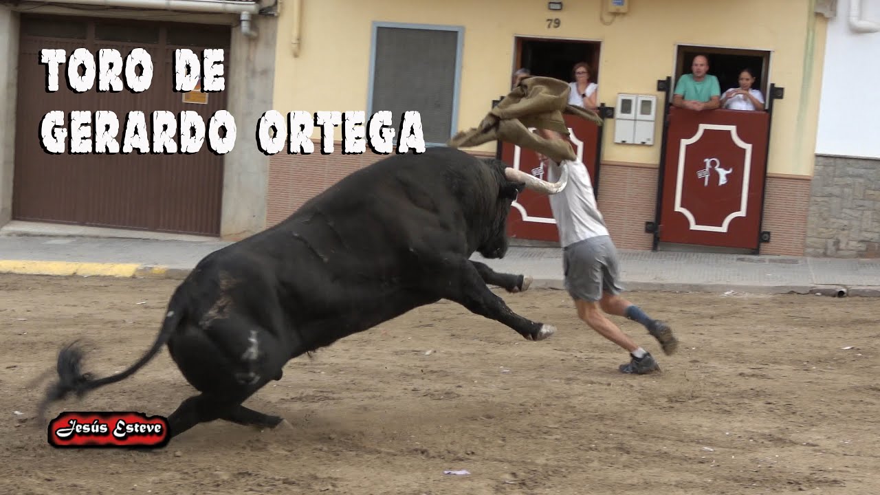 VILAVELLA TORO DE GERARDO ORTEGA