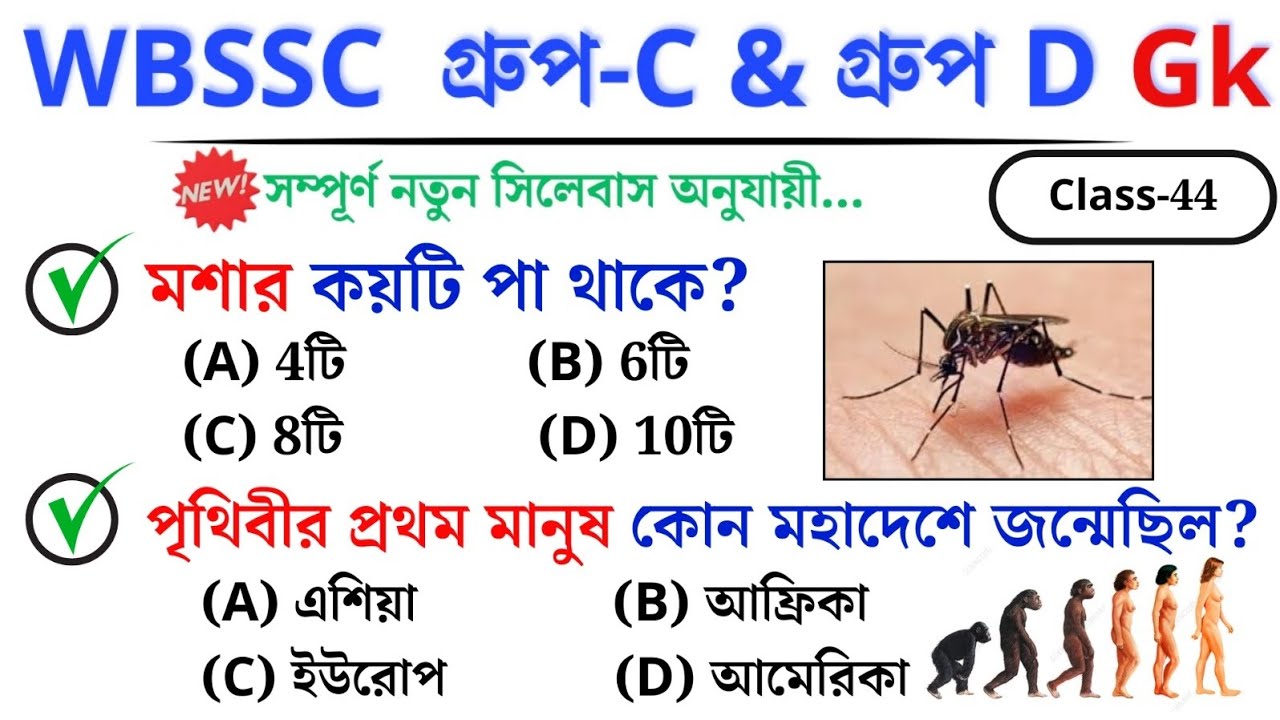 🎯 WBSSC Group C & D GK | Class–44 | নতুন সিলেবাস অনুযায়ী ক্লাস চলছে