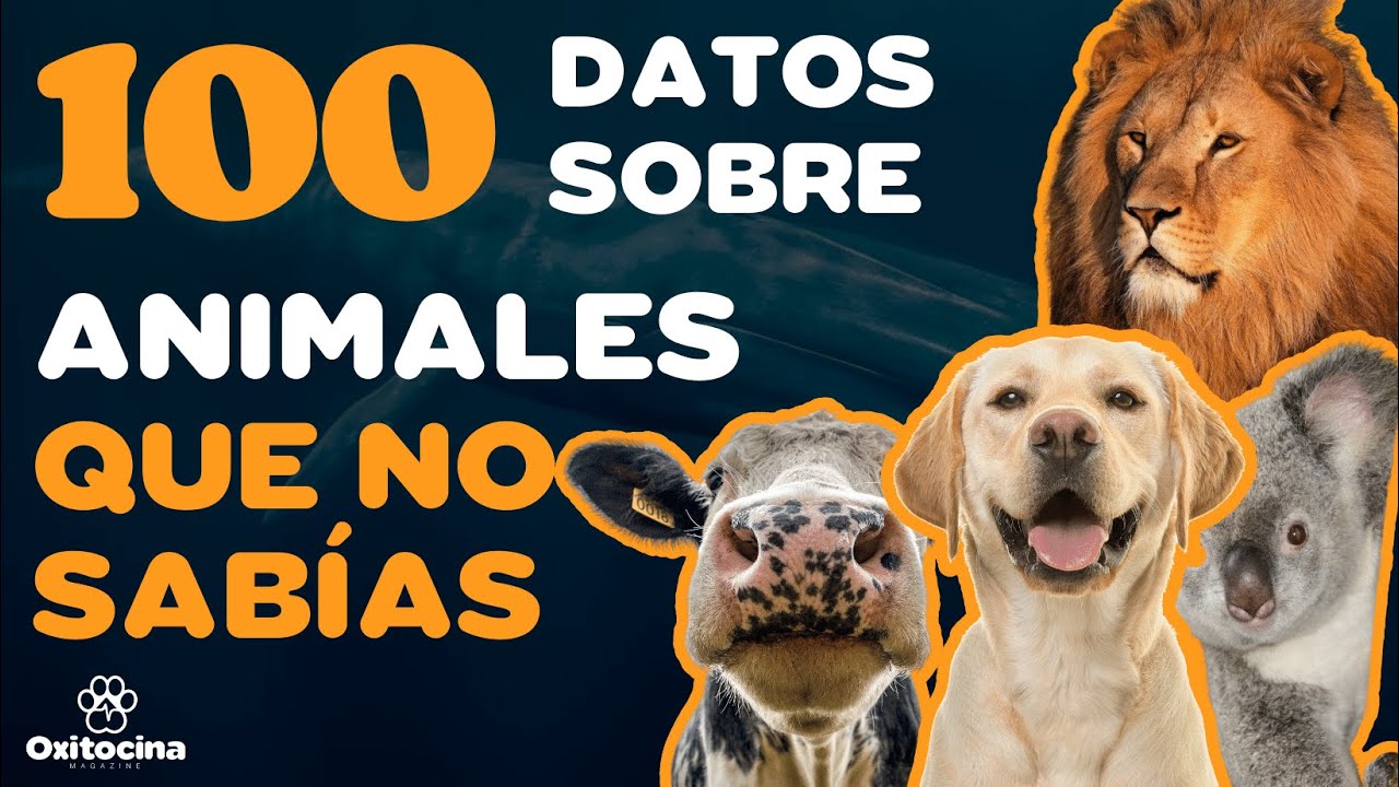 100 DATOS SOBRE  ANIMALES QUE NO  sab&iacute;as HACE POCOS  MINUTOS