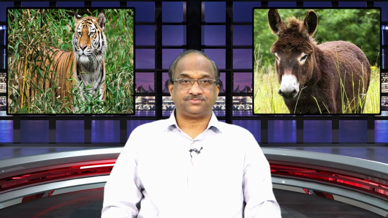 ఈ గాడిద, పులి కథ తెలిస్తే చాలా టైం మిగుల్తుంది || STORY TIME-9 The Story of the Donkey and the Tiger