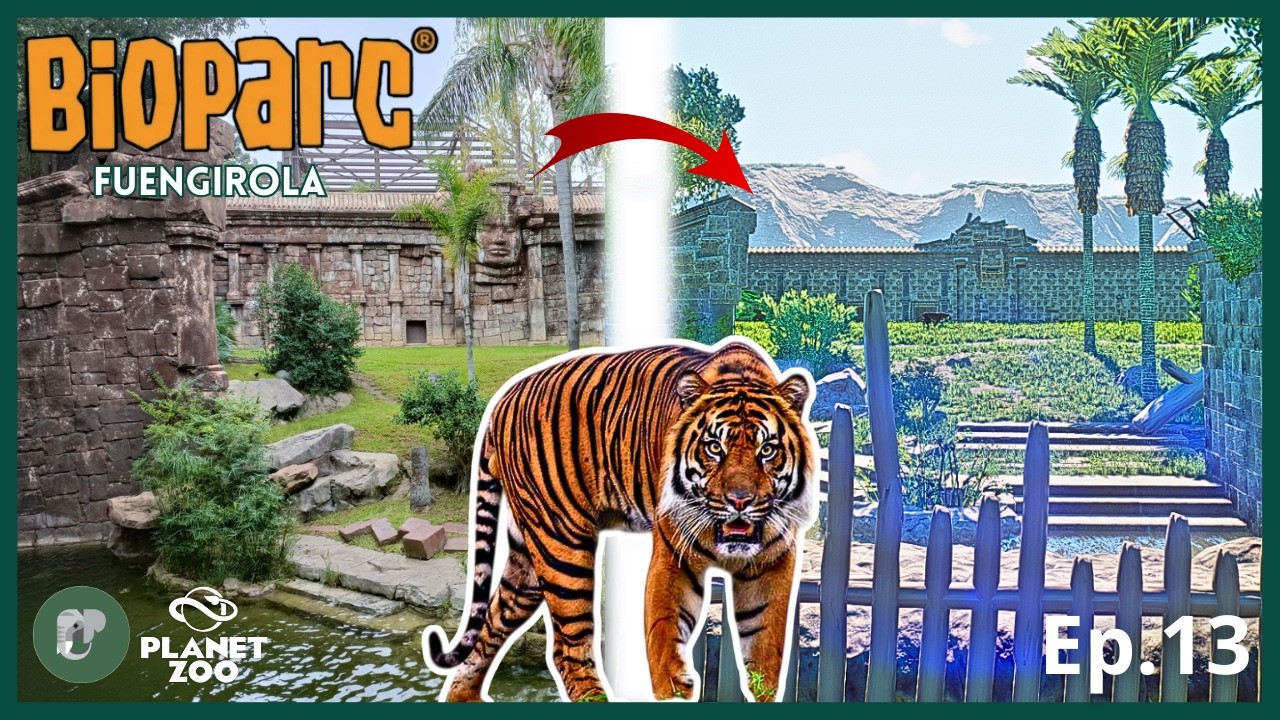🦧BIOPARC FUENGIROLA - TIGRE DE SUMATRA HABITAT🦧 | ZOO RECREATION | PLANET ZOO | Ep. 13