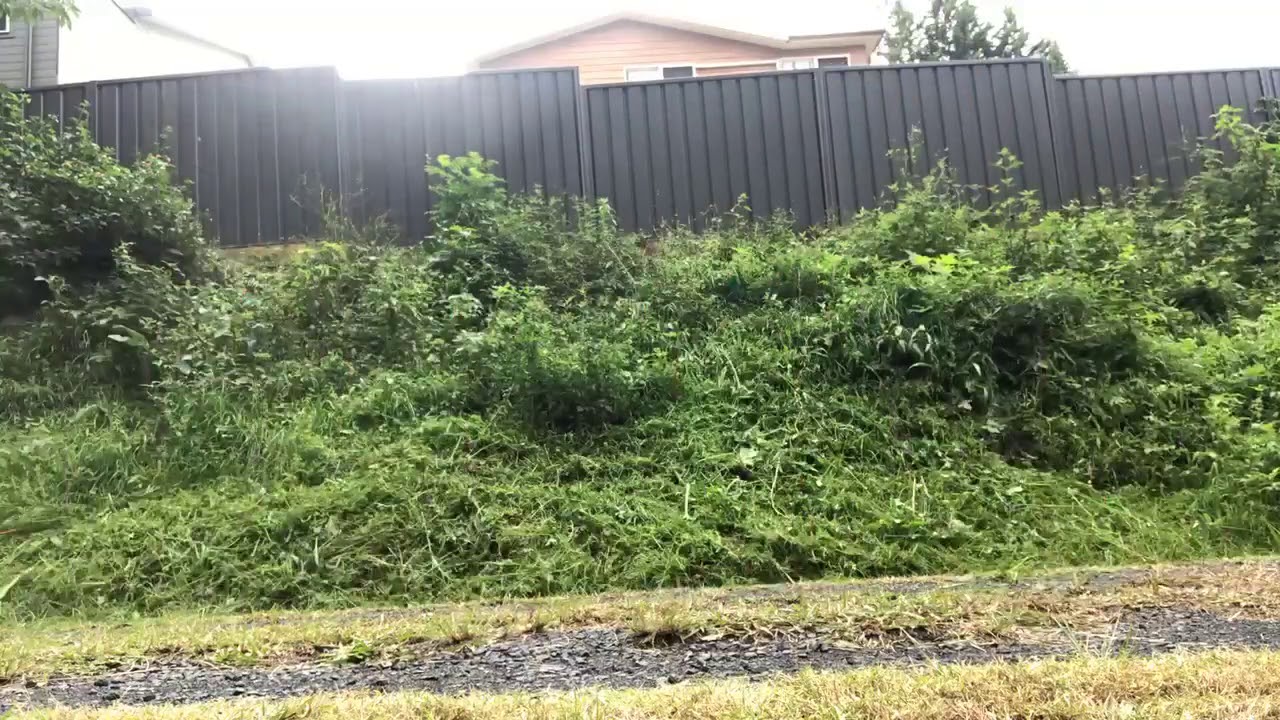 Cleaning up an overgrown garden timelapse | whipper snipping | yard care | satisfying