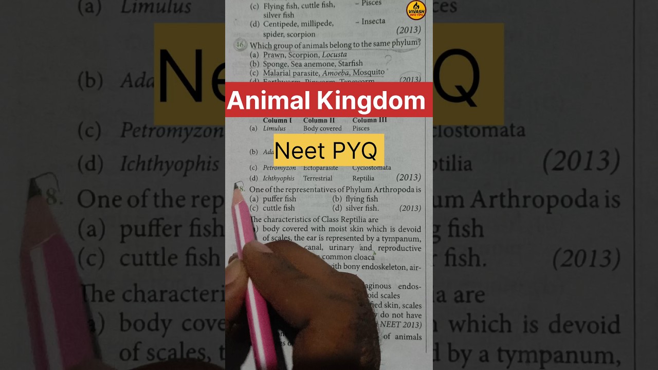 Animal Kingdom NEET PYQ Part-2 🔥 | Most Repeated Questions | NEET 2025