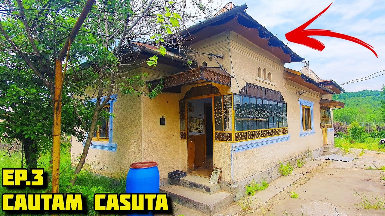 VREAU SA-MI CUMPAR CASA LA TARA! • EP.3