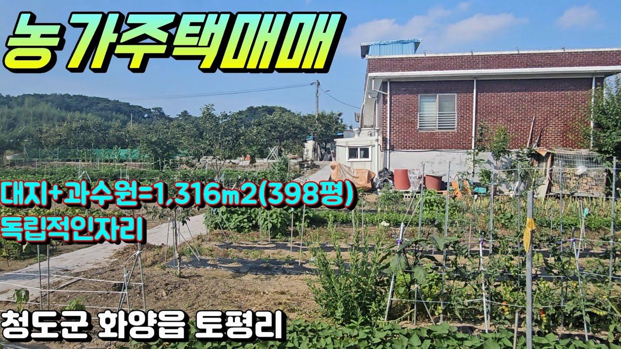 청도농가주택매매[NO-664].대지+과수원=1,316㎡(398평).완전 독립적인,청도군 화양읍 토평리  #청도농가주택