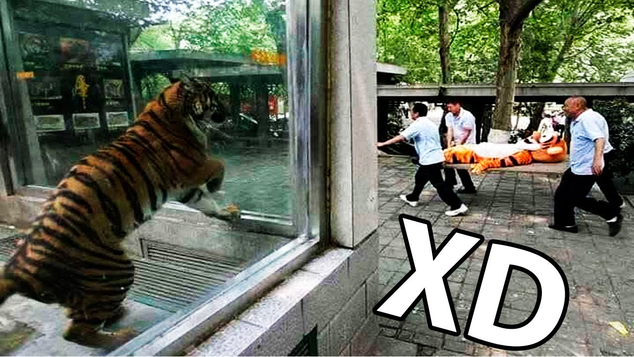 👉 SI TE RIES PIERDES 😆 NIVEL DIOS 🔥 | MOMENTOS RANDOM #6