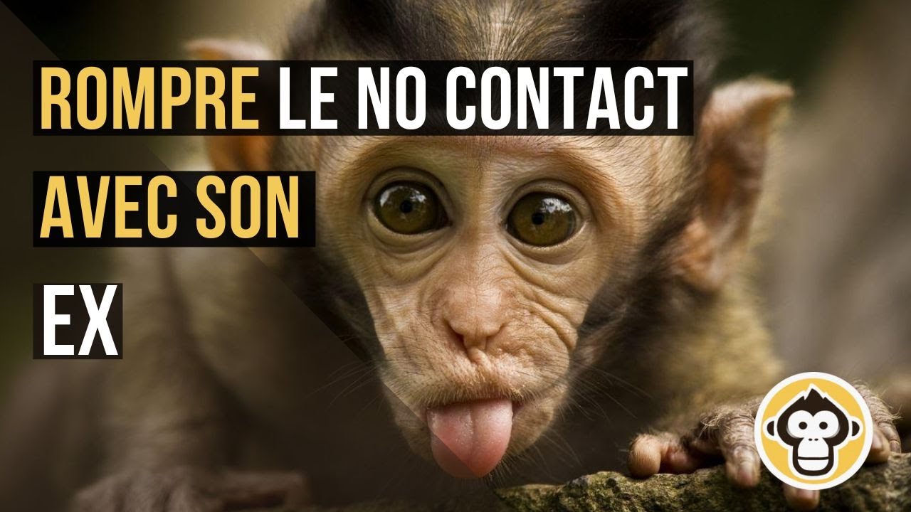 Rompre le No Contact / Silence Radio avec son EX