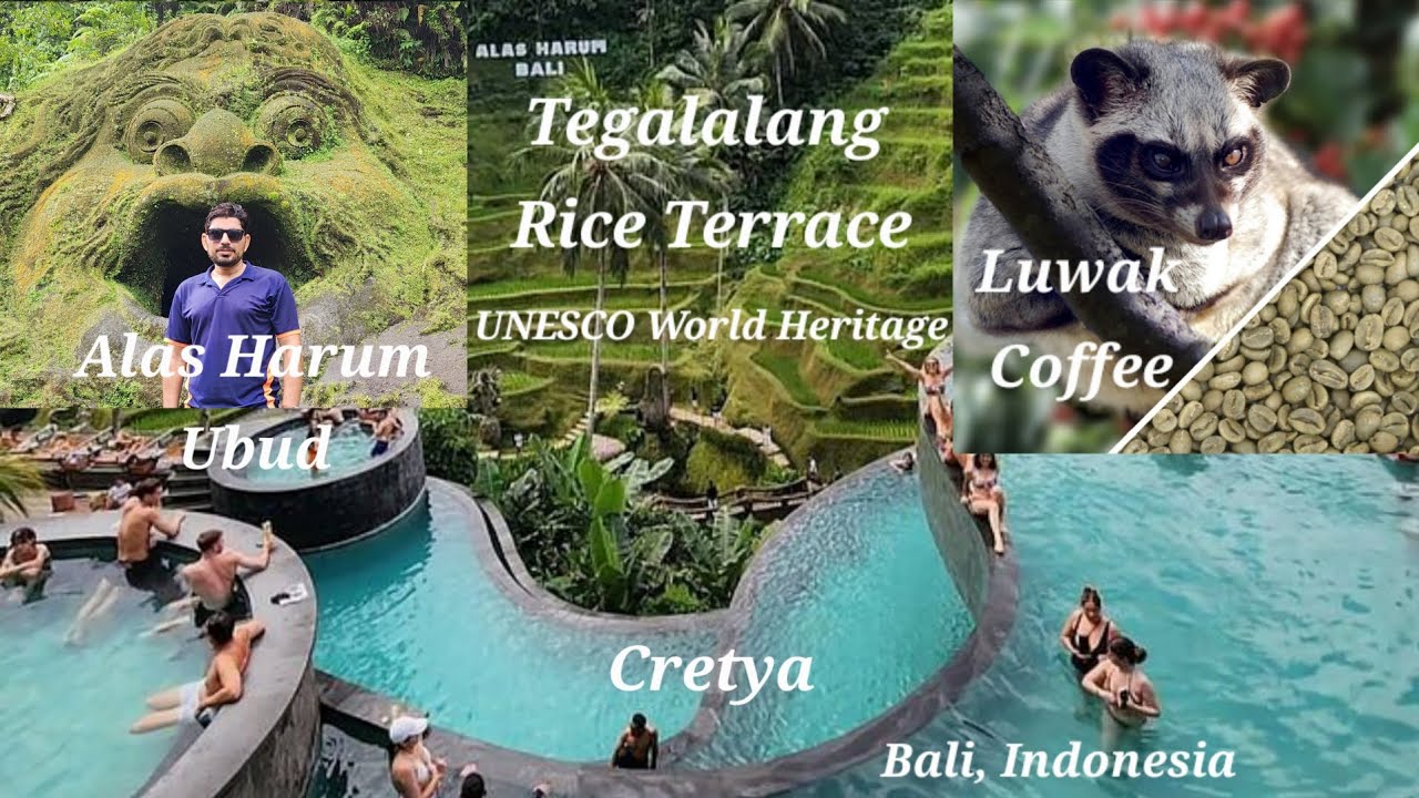 Alas Harum | Tegallalang Rice Terrace UNESCO | Cretya, Swing, Dancing Bridge | Luwak Coffee | Bali