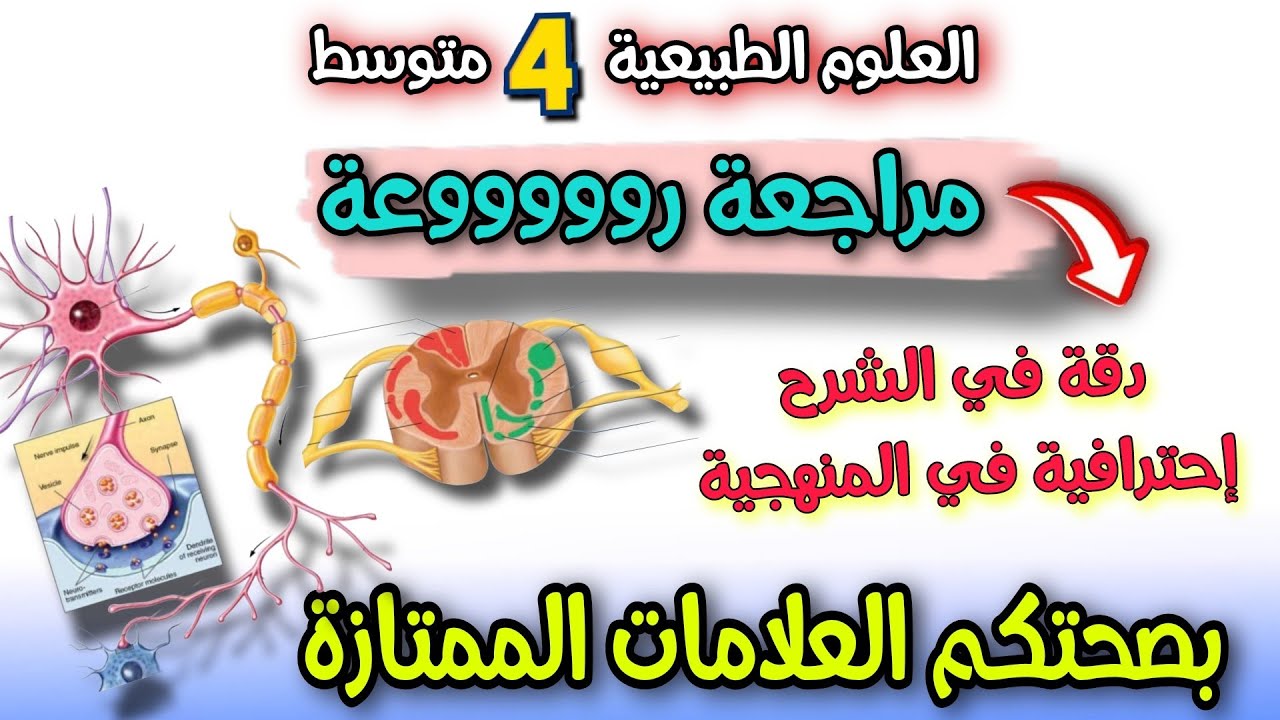 استعد  للفرض الاول بمراجعة خرافية لدروس الاتصال العصبي العلوم الطبيعية الرابعة متوسط #bem2026 