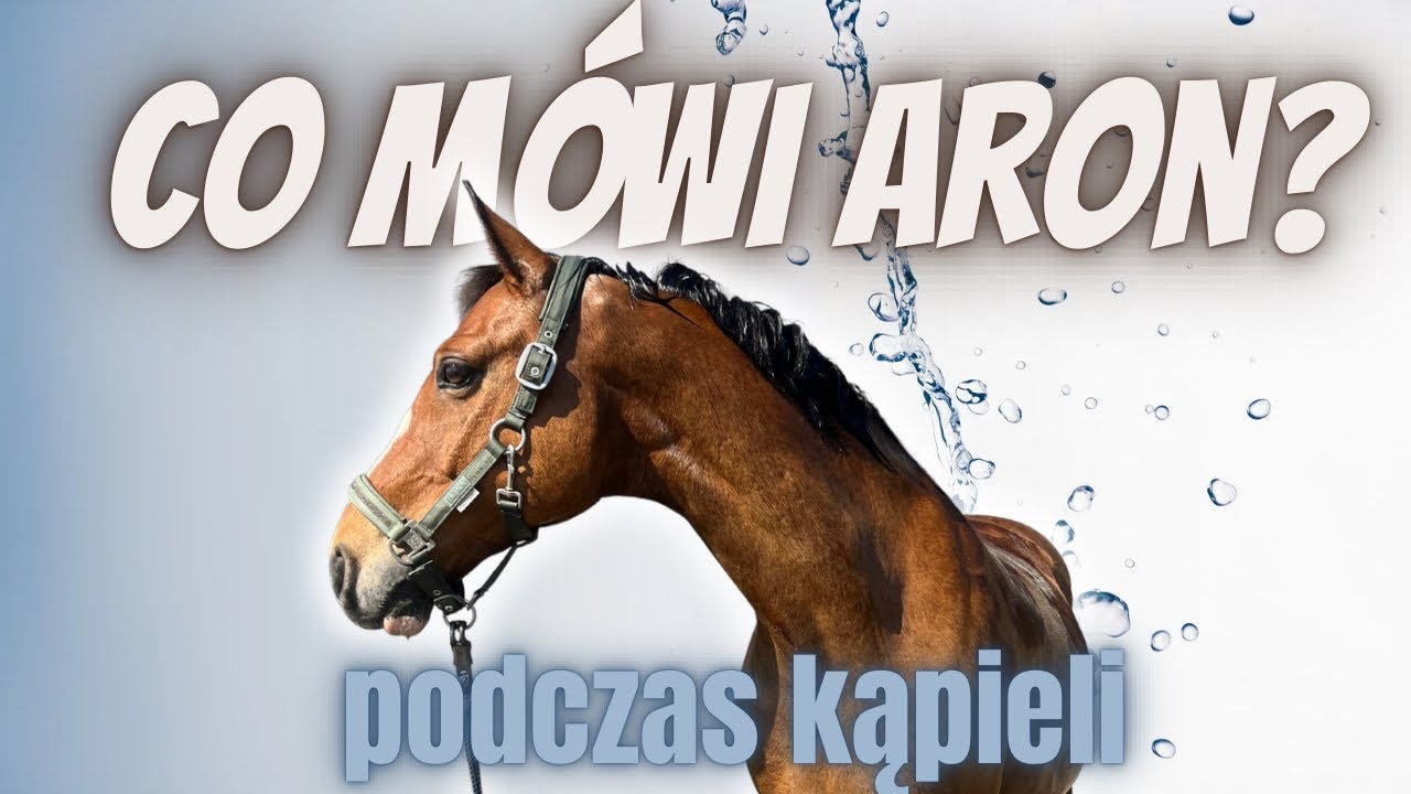 CO MÓWI ARON PODCZAS KĄPIELI?🛁🐴🚿🫧
