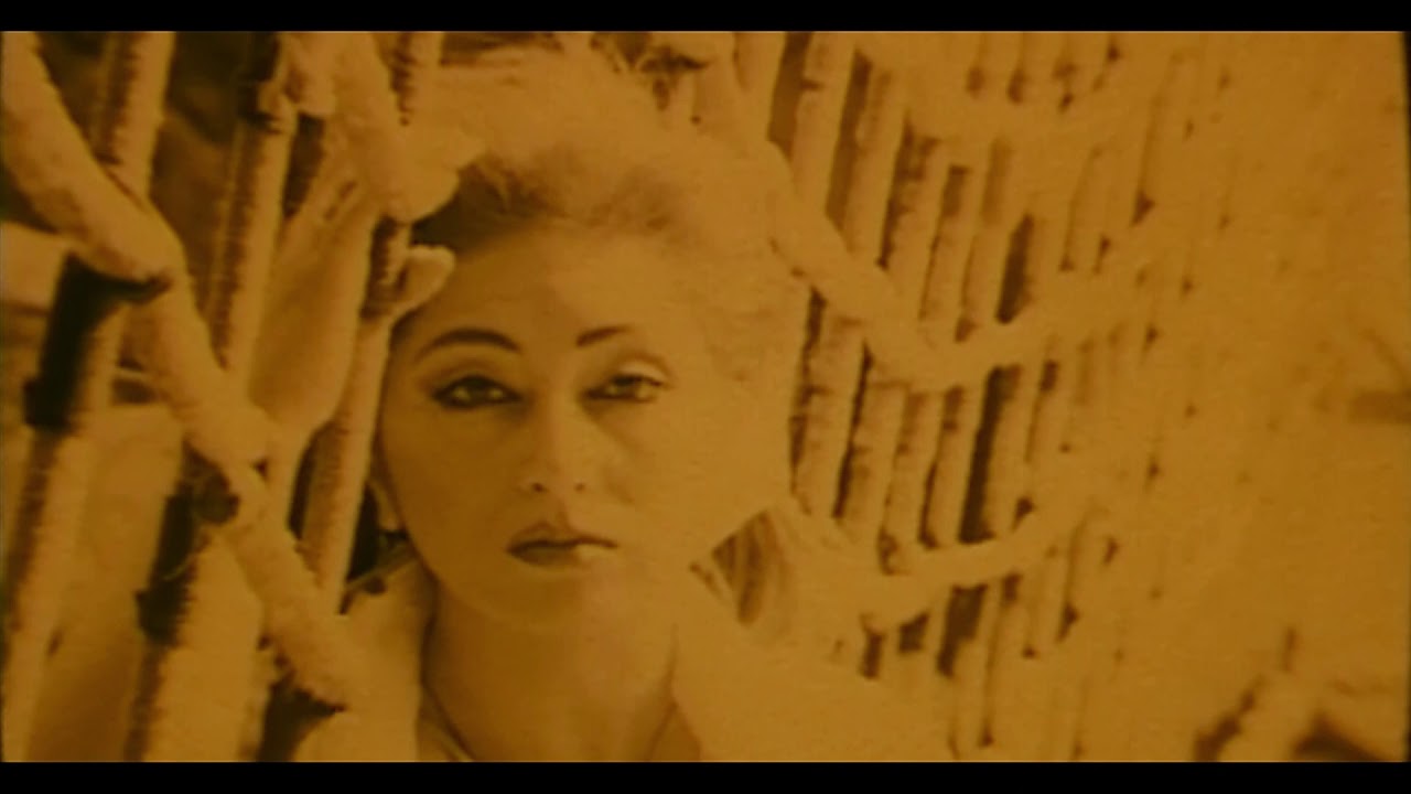 Nagofteha - Leila Forouhar l ناگفته ها - لیلا فروهر