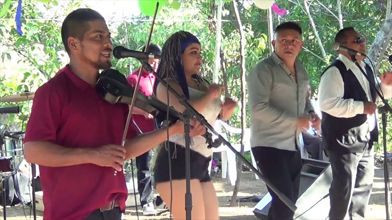 Santos y Su Chanchona El timido (c) Singaltique San Miguel