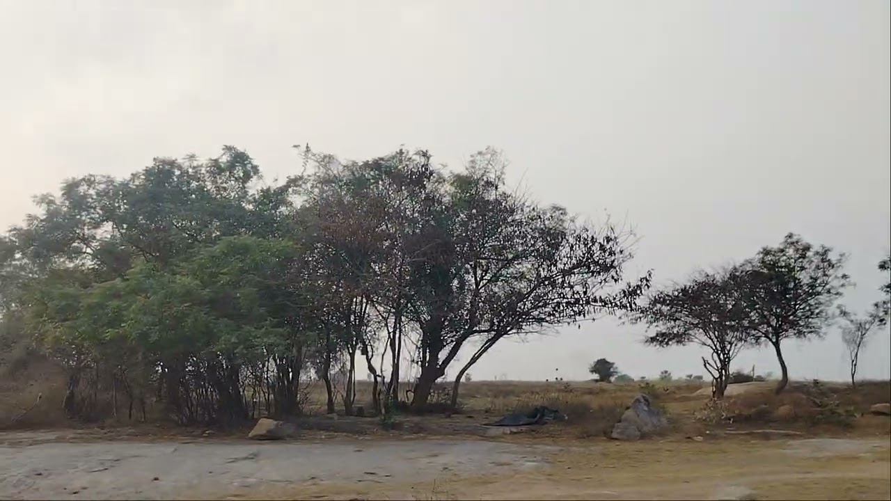 My dream new lands agriculture 2.5 acres per acre 10 lacks fix rate clme 9346648067