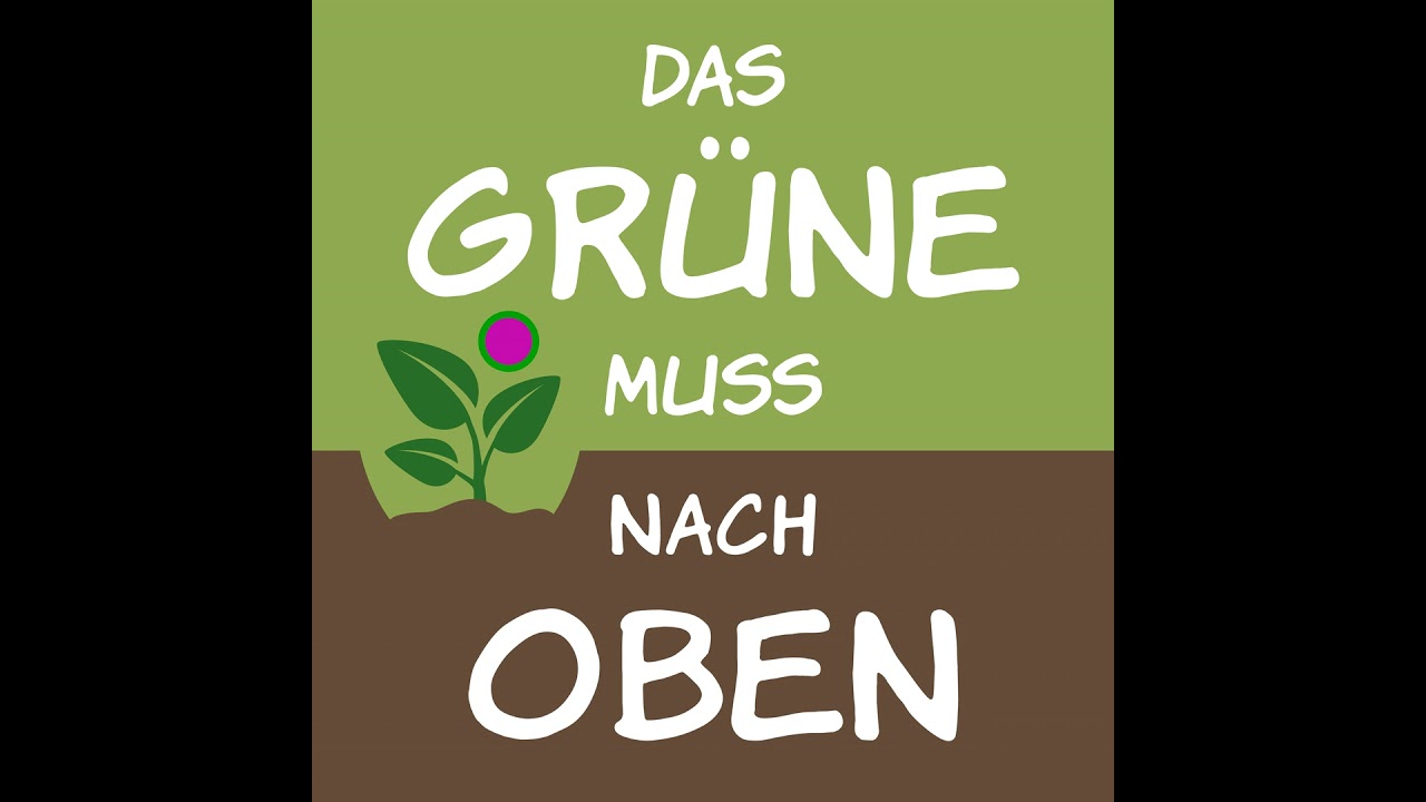 Der Kleine Horrorgarten - Alles Rock´n Roll zwischen Blumen und Kohl? @kleinerhorrorgarten