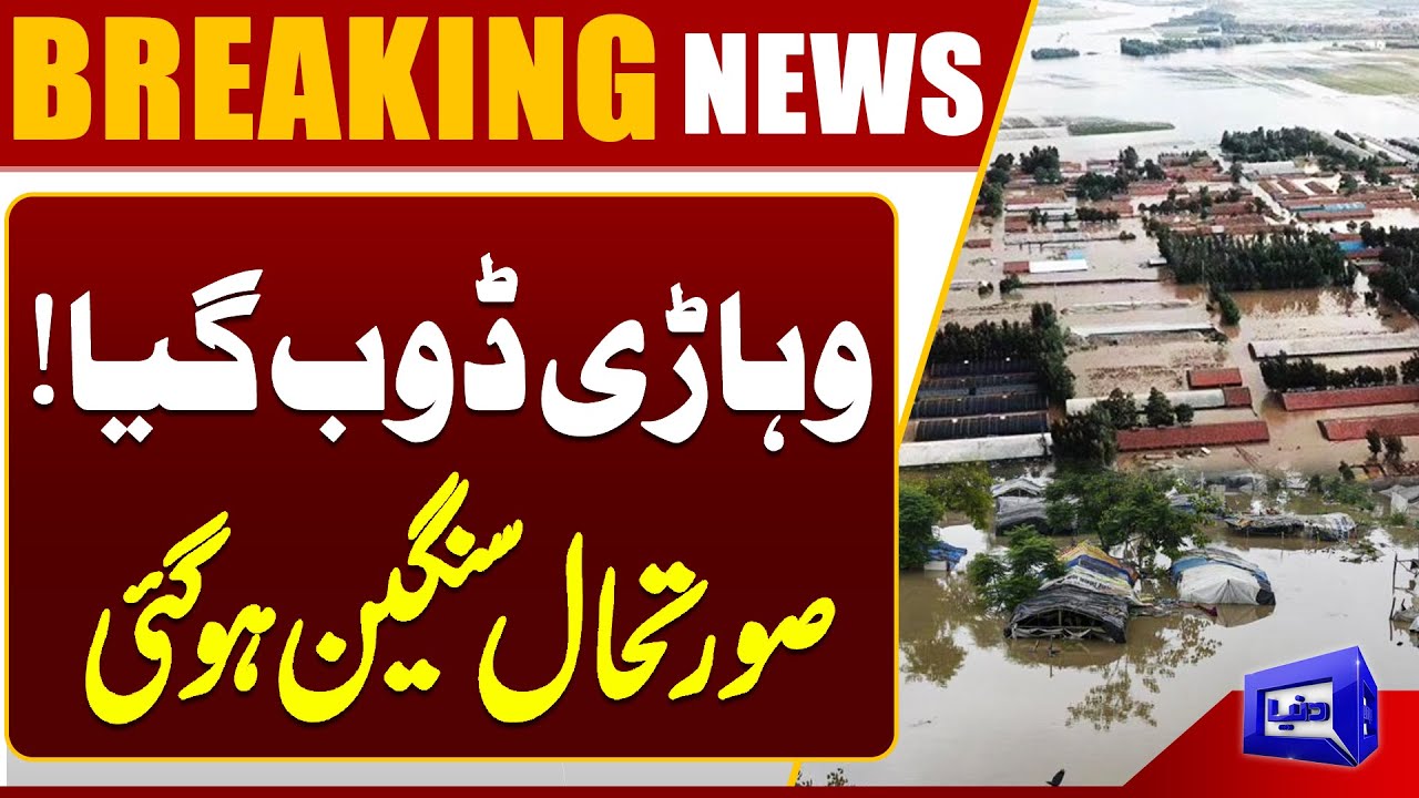 High Flood Level Persists in Sutlej River | Vehari on Alert | Flash Flood Hits Pakistan | Dunya News