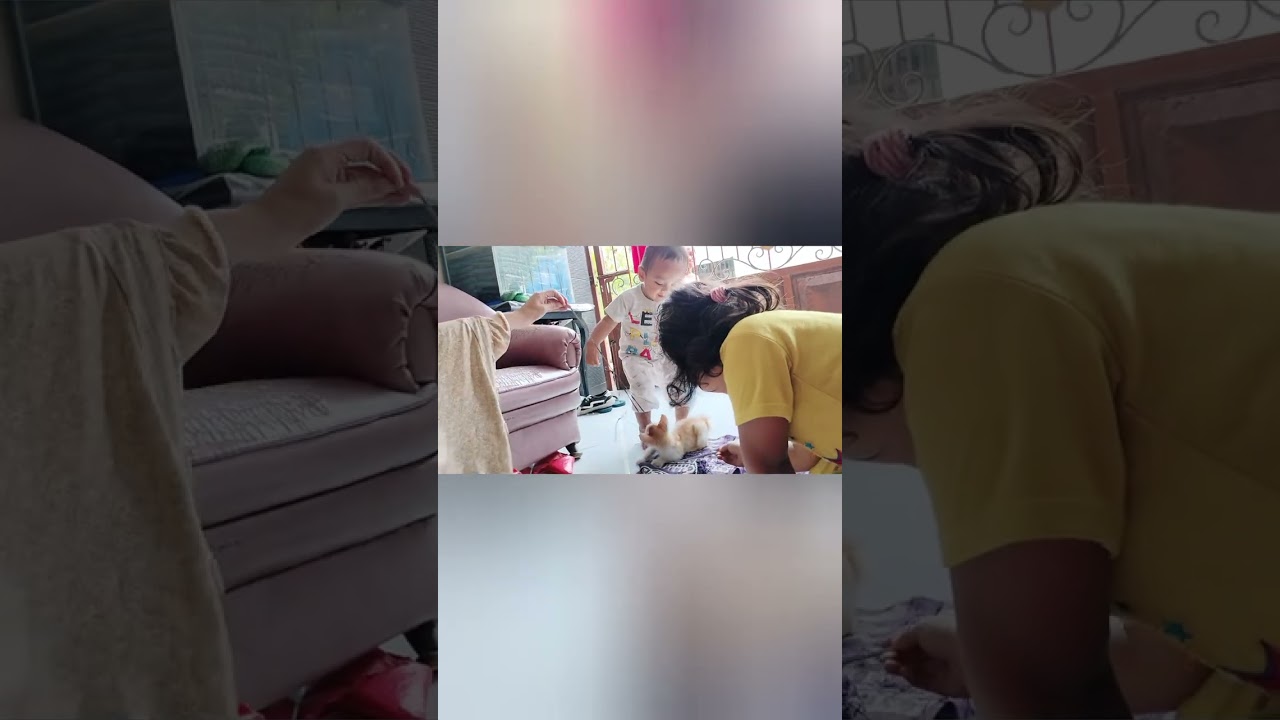 Mainan kucing adek dan kakak