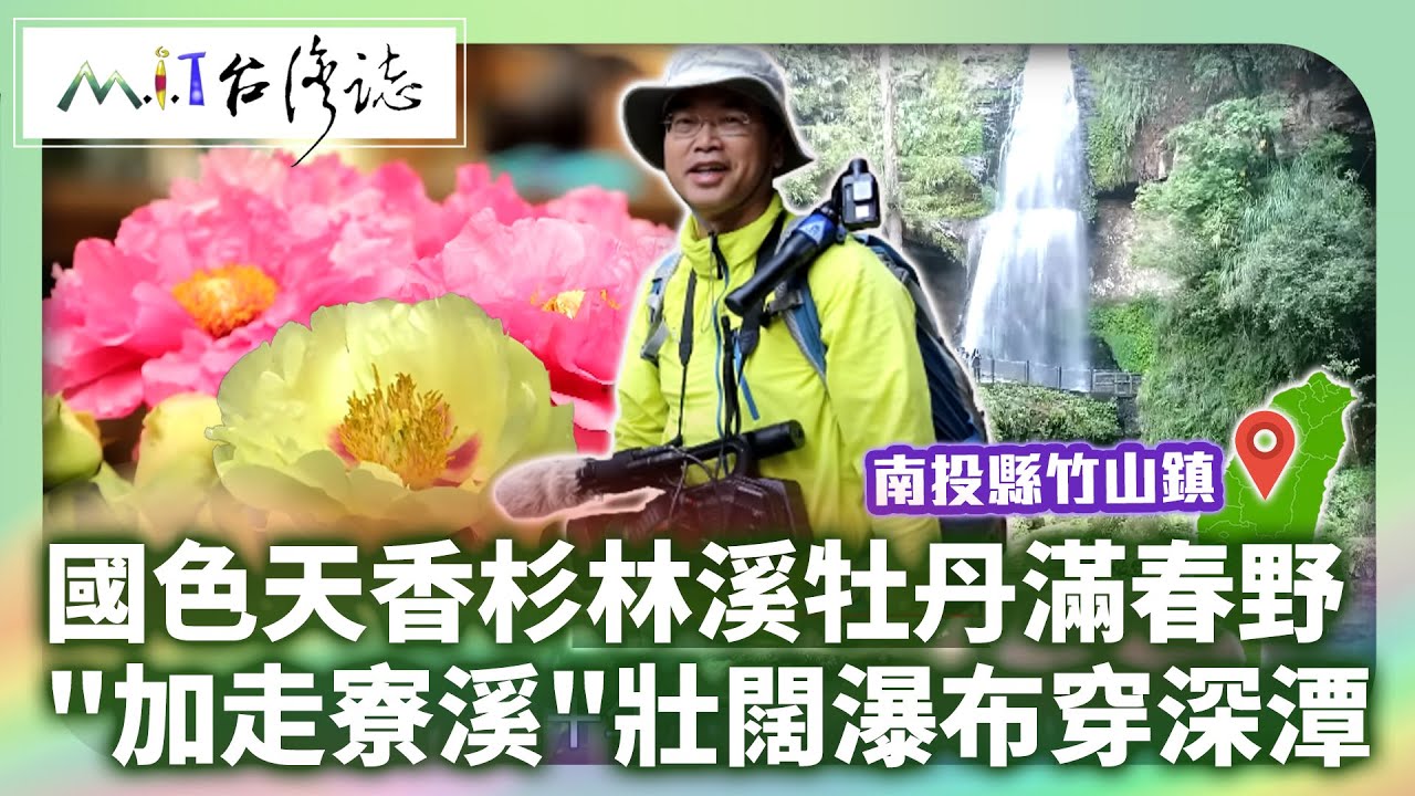 國色天香杉林溪牡丹花開滿春野 秘境「加走寮溪」壯闊瀑布穿深潭 ｜ 南投縣竹山鎮 麥覺明【