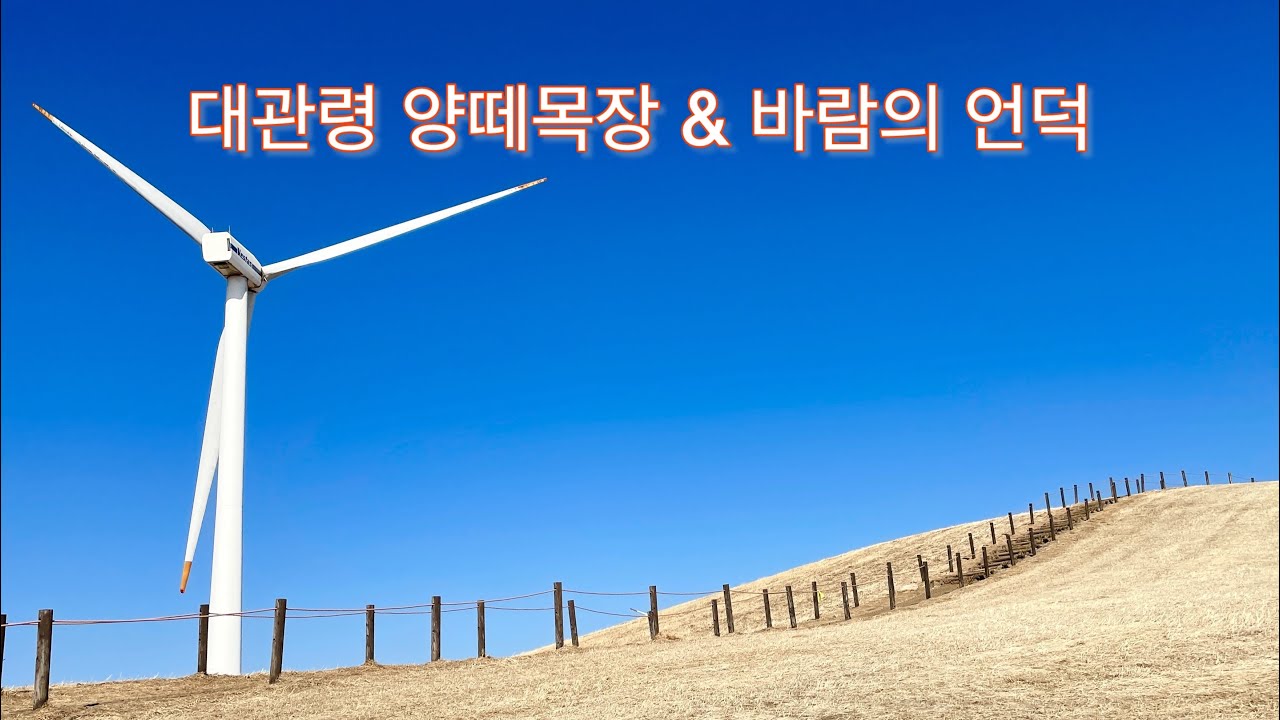 (강릉) 대관령 “ 양떼목장 & 바람의 언덕 ”