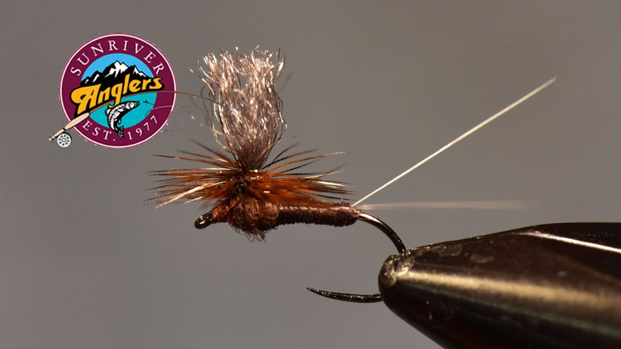 Mahogany Dun Parachute