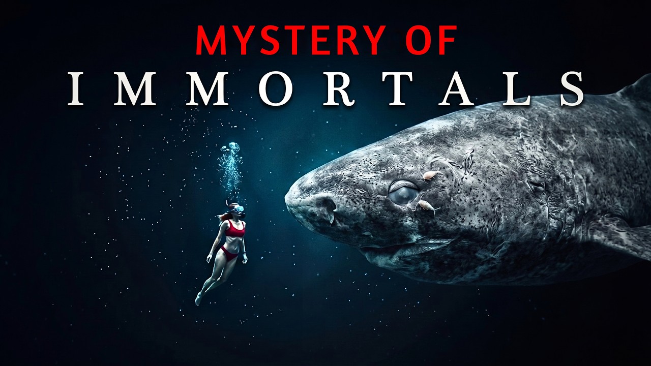 Nothing About the Deep Is Dead: 5 Animals That Defy Death