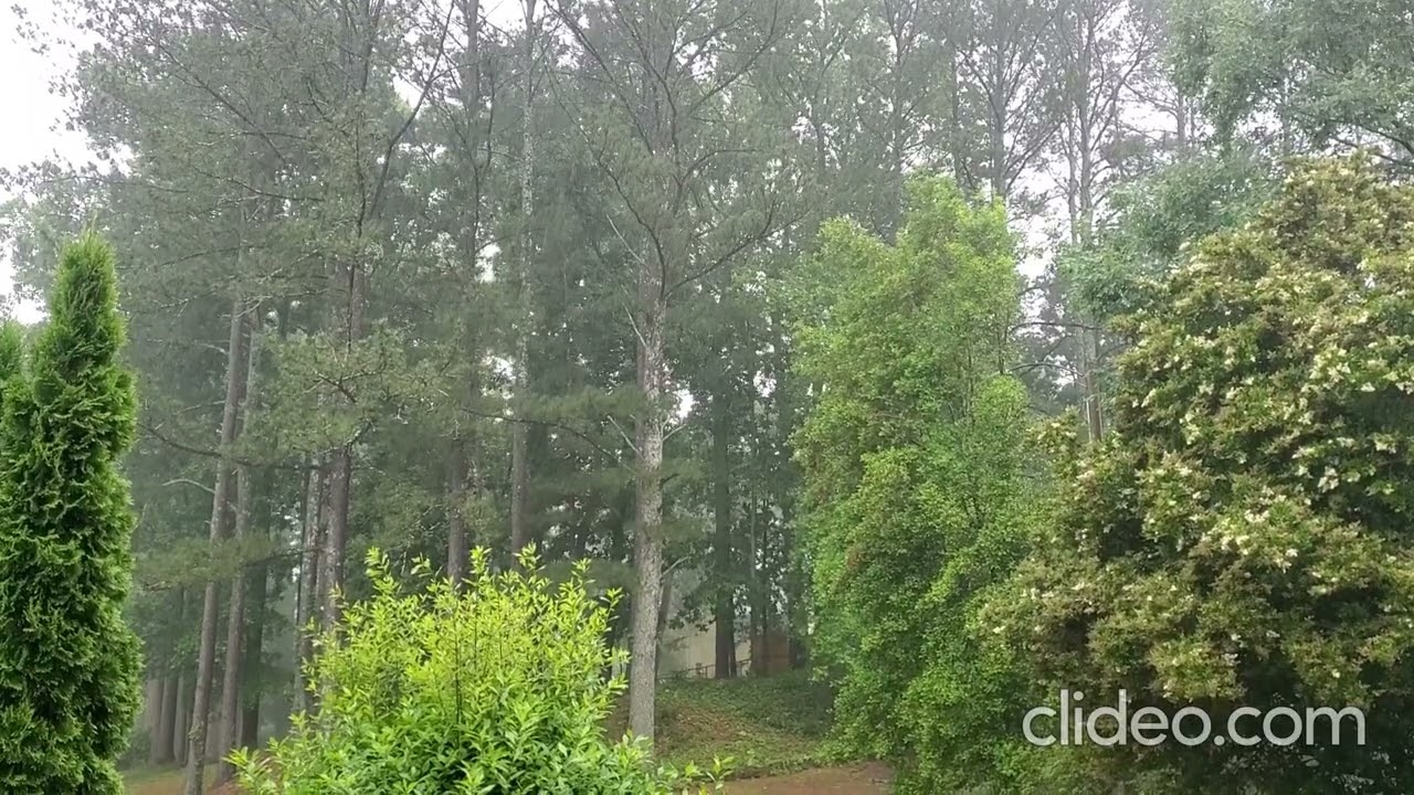 Heavy rain in the evening. 5-17-25