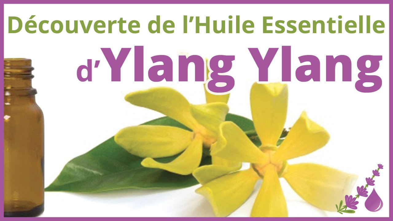 Ylang-Ylang - L'huile Essentielle aphrodisiaque ♥️ - Dr Françoise Couic Marinier