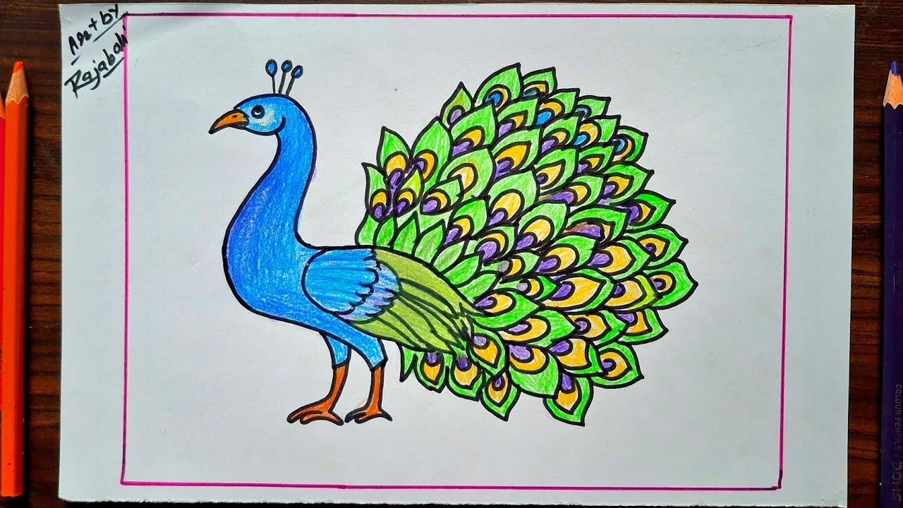 Easy Peacock drawing for kids||how to draw a Peacock 