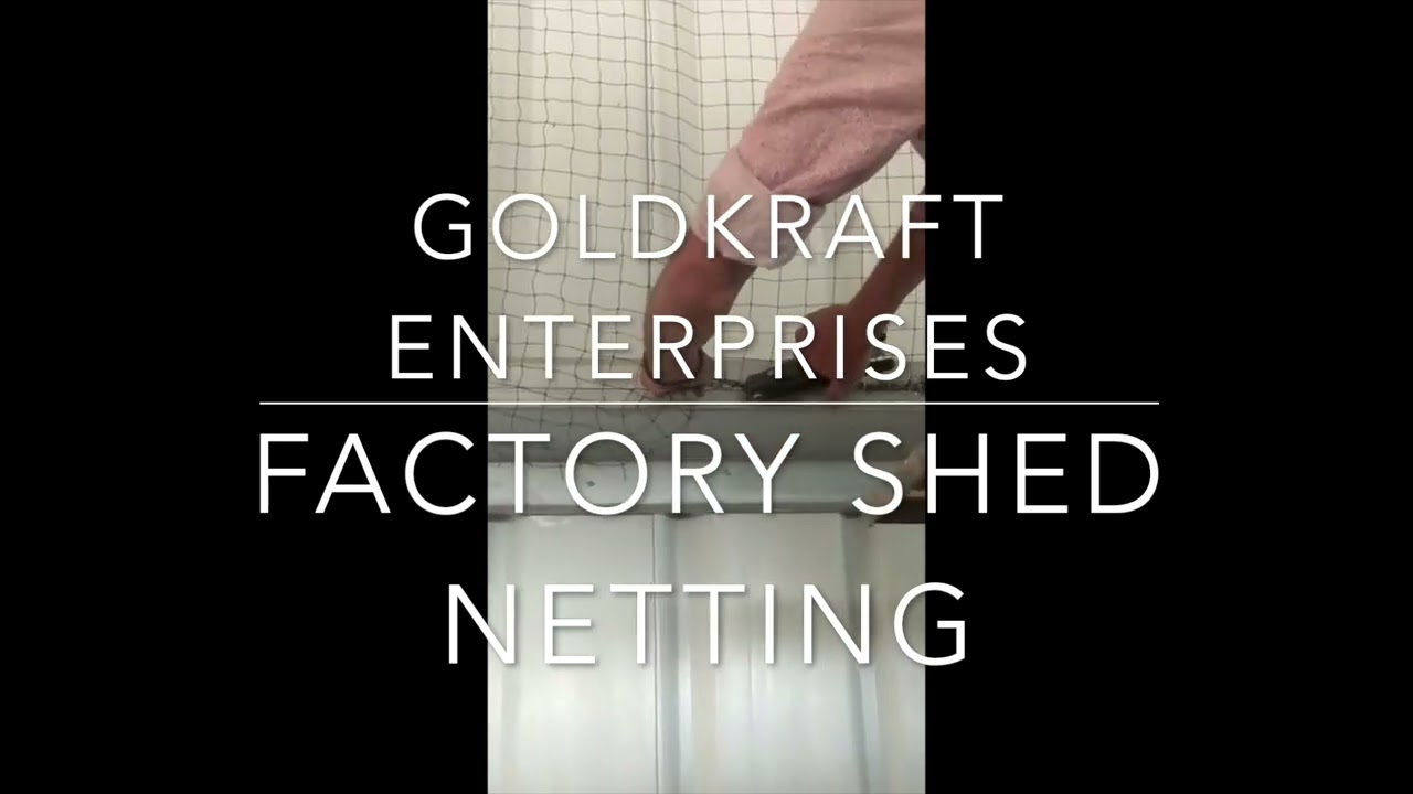 Goldkraft Enterprises - Antibird Pigeon Control Services Antibird Nets Birdspikes Bird wire system