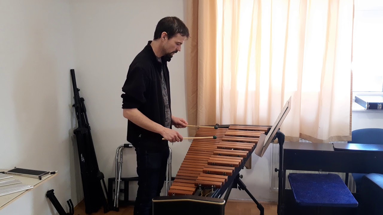 Practicing xylophone #3 - N.J. Živković - Sweet Quick Sixteen