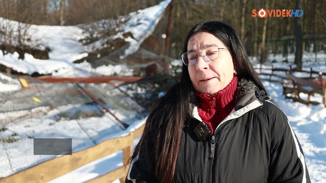 Lezárták a Zöld Házat