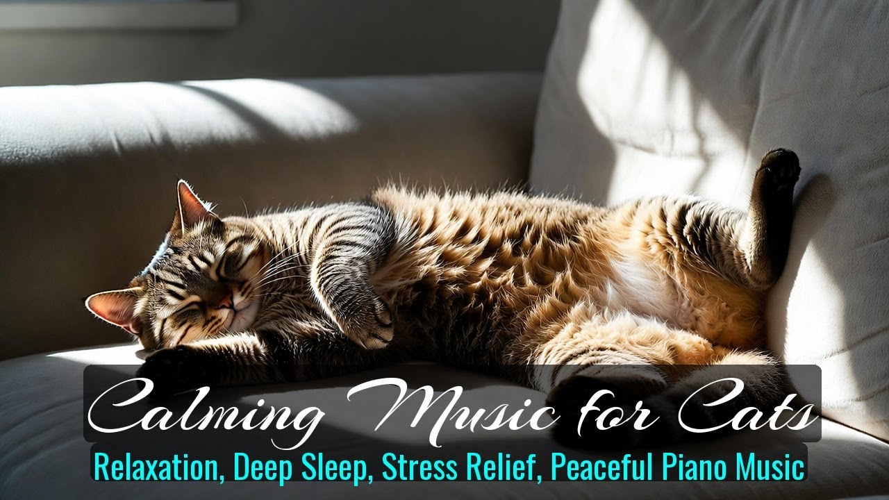 Calming Music for Cats - Relaxation, Deep Sleep, Stress Relief, Peaceful Piano Music | Season 56