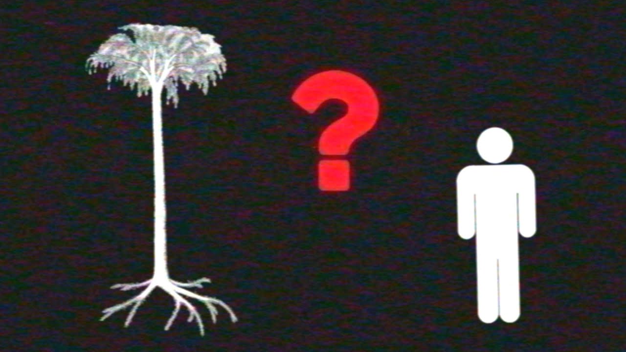 Analog horror - Have you seen this tree ?