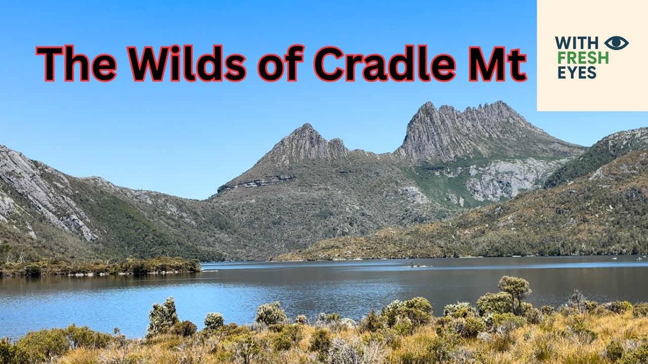 Thin Air, Hot Sun, Cradle Mountain 