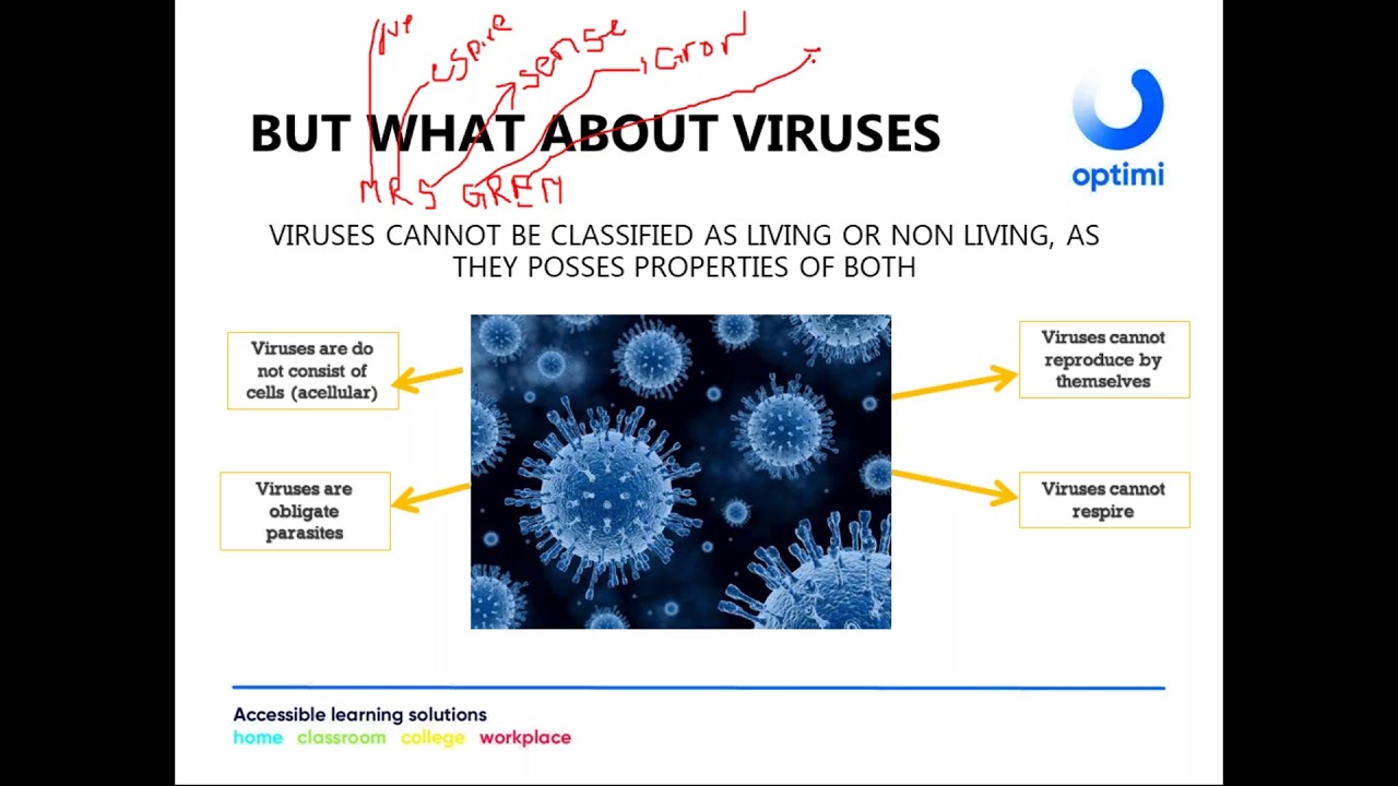 Grade 11 Life Sciences   Microorganisms