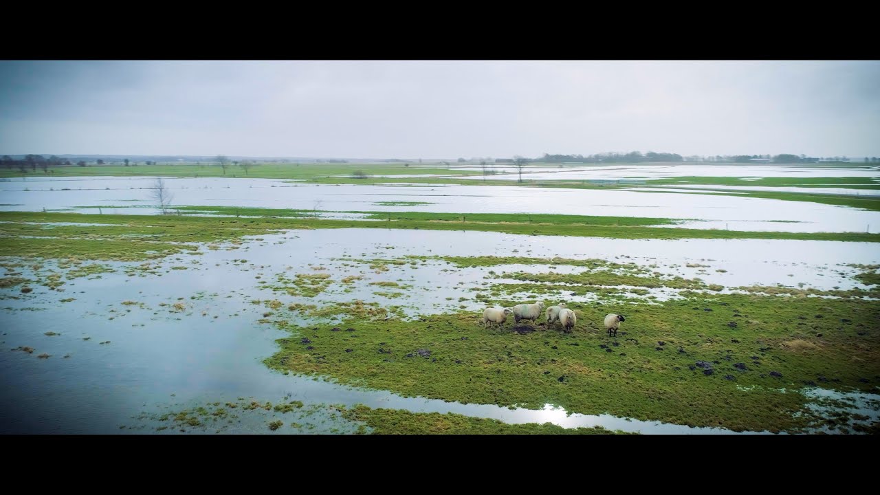 Imagefilm Deich- und Hauptsielverband Dithmarschen