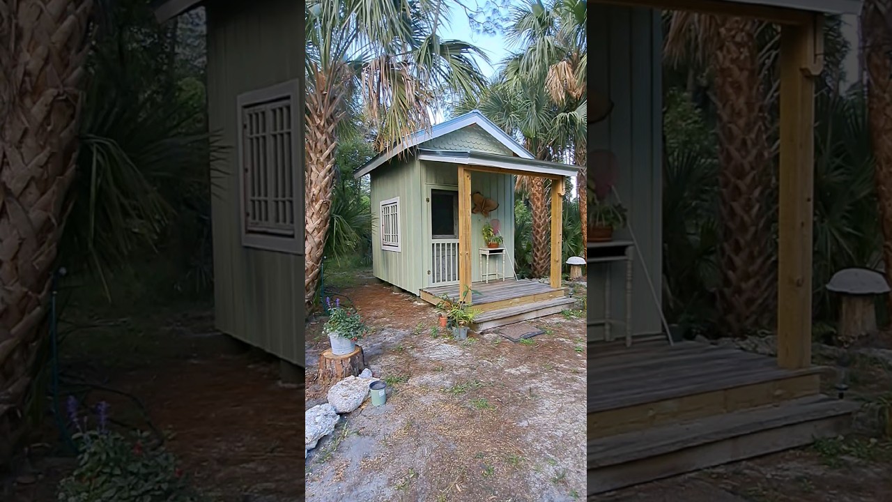 She Shed and the He Shed #sheshed #sawmill #homestead #woodworking