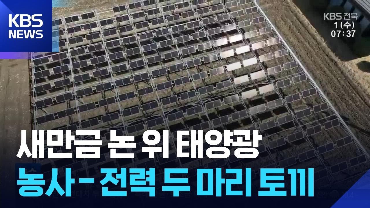 농지 위 태양광&hellip;새만금 재생에너지원으로 &lsquo;주목&rsquo; / KBS  2026.04.01.
