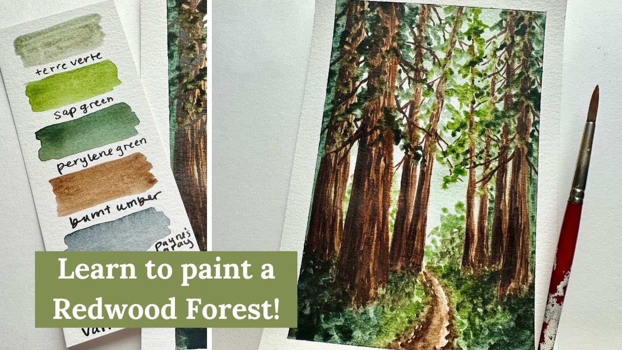WATERCOLOR TUTORIAL | REDWOOD National Park | Step-by-Step Beginner Forest Landscape Painting