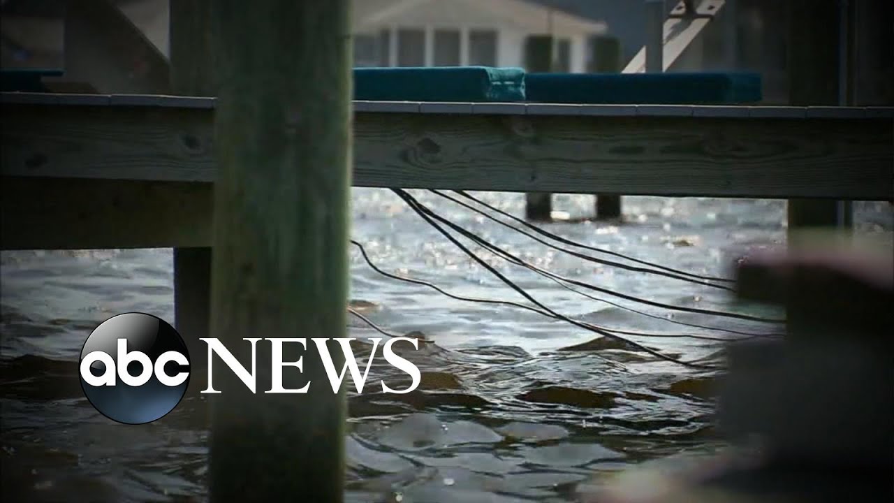 Two unrelated cases of people killed by electrical currents in the water