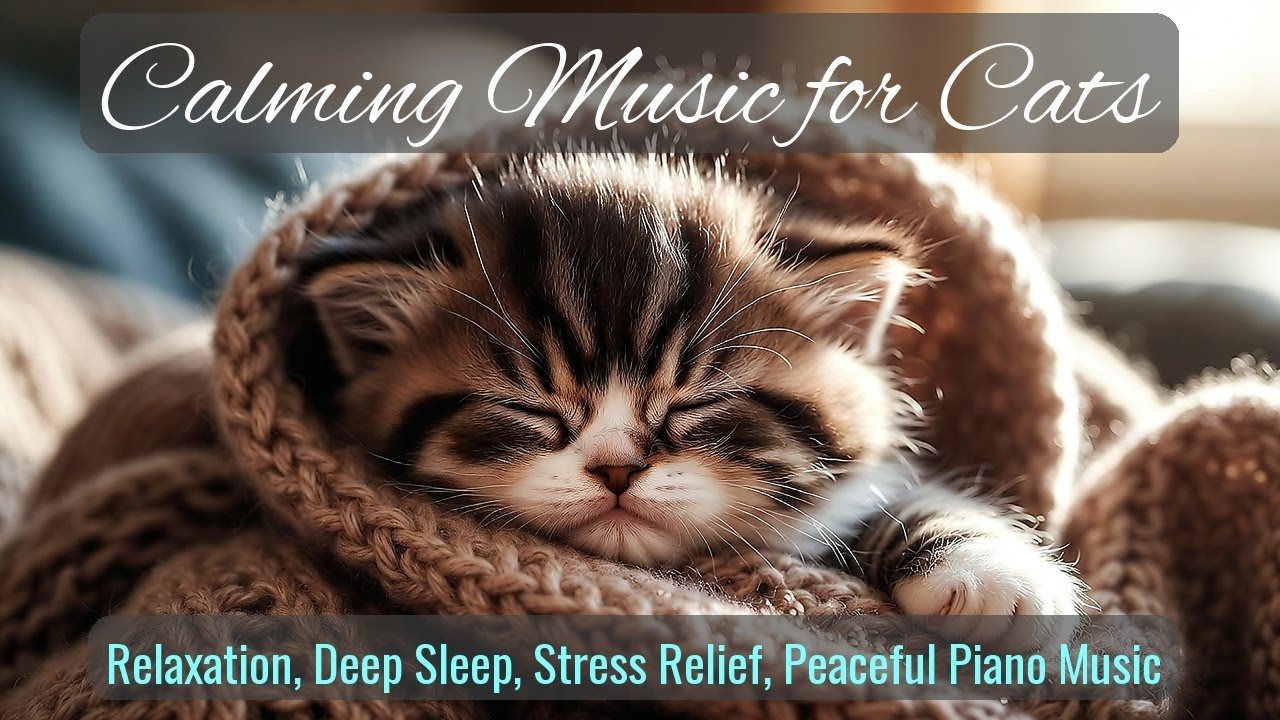 Calming Music for Cats - Relaxation, Deep Sleep, Stress Relief, Peaceful Piano Music | Season 90
